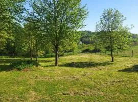 Pet Friendly Home In Karlovac With Wifi