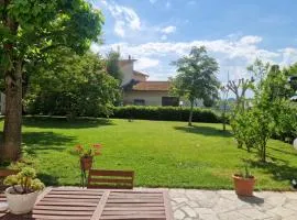 La CASA degli IPPOCASTANI