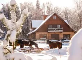 Na Wysokiej Górce- Agroturystyka
