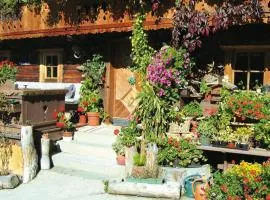 Apartments Schatzberg-Haus, Wildschönau-Auffach