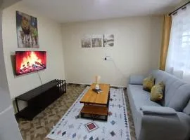 Show Ground Homes