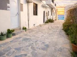 MiGianThea House