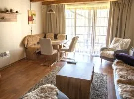 Apartmán Říčky 23