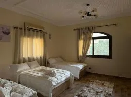 Stay Inn New Cairo