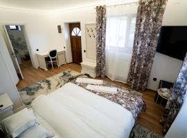 Serafim's Suites Airport, hótel í Iaşi