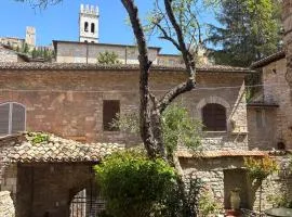 Il giardino di Chiara