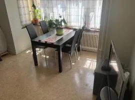 Cozy Apartment in the heart of the Zurich Botanical Garden