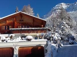 Gemütliche 3 Zimmer Wohnung in Lenzerheide、レンツァーハイデのホテル