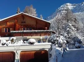 Gemütliche 3 Zimmer Wohnung in Lenzerheide
