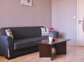 COSY LANDING near airport