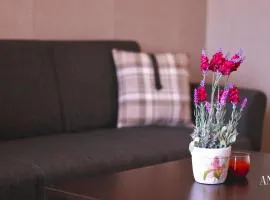 COSY LANDING near airport