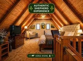 Albert Residence Premium Apartments With Complimentary Parking Save 23 Percent Off For Your Next Stay in Brașov Old Town