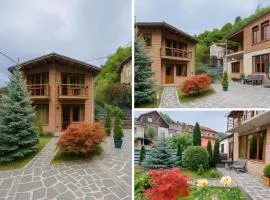 ბორჯომი საოჯახო სასტუმრო "გიომანი" Borjomi Guest House "GioMaNi" დასვენება ბორჯომში "GioMaNi"