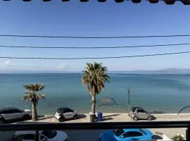 Blue Tree Suites