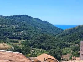 Lumira Vista Panorama