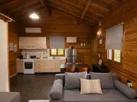 TETOS Wooden House II