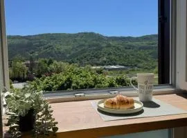 NEW Modern Apartment in City Center