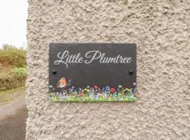 Little Plumtree