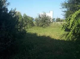 Căsuța de vacanță