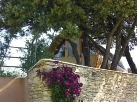 tonneau insolite