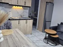 Alma-Libre house 2