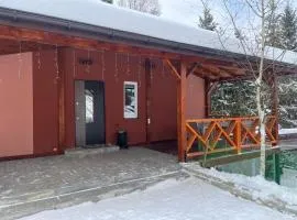 Альпійська зірка