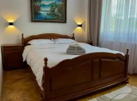 Saturn Guest House