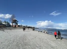 Walk to Willard Beach