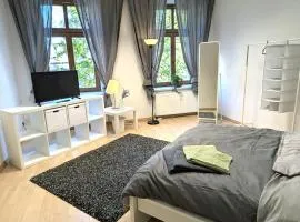 Grosses Zimmer im Zentrum Elise , ruhig & gemuetlich