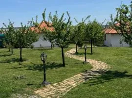 Apartmani Mladenovac
