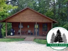 Romantic Cabin w Hot Tub Near Old Mans Cave