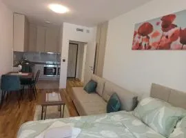 Apartment Laki
