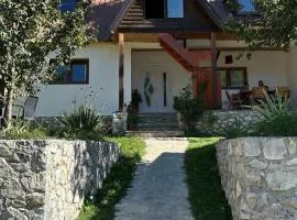Bujtina Albjoni