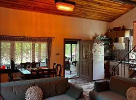 Celebioglu FarmHouse