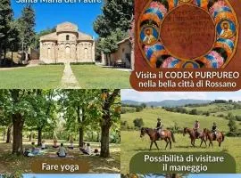L'albero dela vita