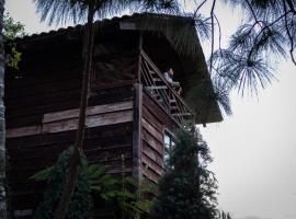 Bosque de Niebla, hotel a Tlatlauquitepec
