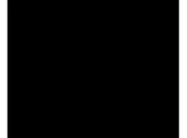 Pak