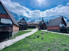 Guesthouse Elli & Cottages