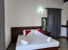 wild elephant reach wilpaththuwa