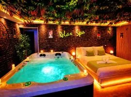 RELAX SPA-4 Pers-Jacuzzi-Parking-Jardin-Clim-Colmar