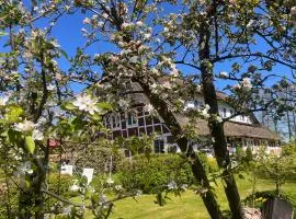 Altes Landhaus Oste, Klavier Appartement, 2 Zimmer mit Kamin