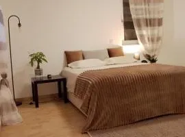 BE MY GUEST, Your own Room in my Apartment, Freiburg