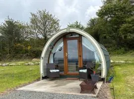 Kingsford Pod