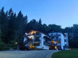 Hotel Trei Brazi
