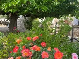 L'appart Thé - Charme apaisant au coeur des Alpilles