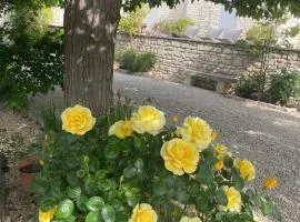 L'appart Thé - Charme apaisant au coeur des Alpilles