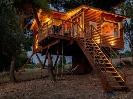 the Treehouse Project