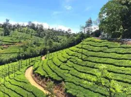 HappyHomestay