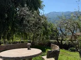 Casa Flavia