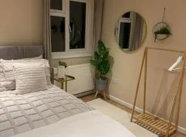 Peaceful Room with private bathroom in the Centre